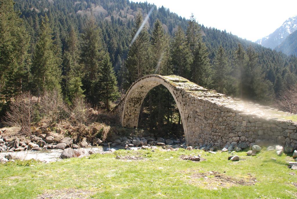 Ayder Umit Hotel Bagian luar foto